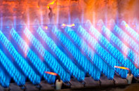 Roydon Hamlet gas fired boilers